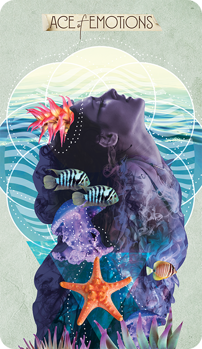 The Muse Tarot Individual Cards
