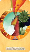 The Muse Tarot Individual Cards