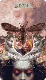 The Muse Tarot Individual Cards