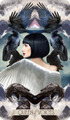 The Muse Tarot Individual Cards
