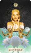 The Muse Tarot Individual Cards