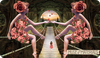The Muse Tarot Individual Cards